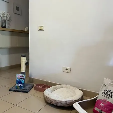 Apartment Lost Paradise