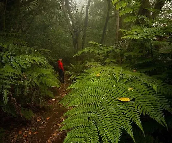 Lost Paradise 公寓 San Andrés