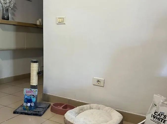 公寓 Lost Paradise