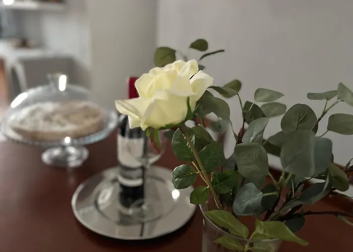 Lost Paradise 公寓 San Andrés