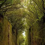 Lost Paradise