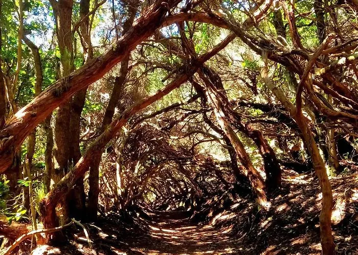 Lost Paradise Appartamento