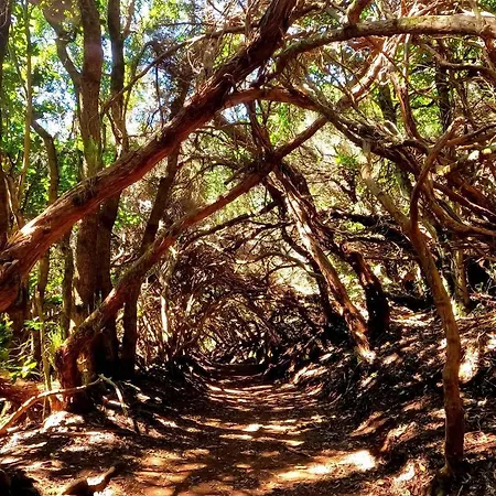 Lost Paradise Apartamento