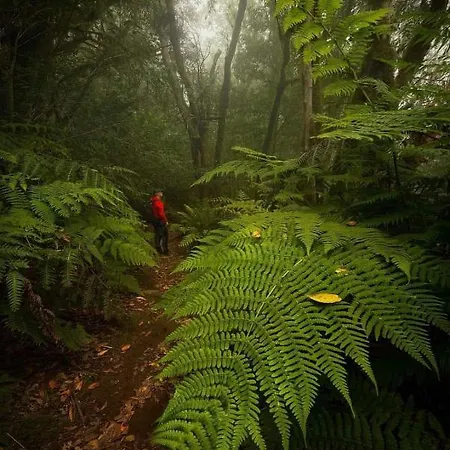 Lost Paradise Apartamento San Andres (Tenerife)
